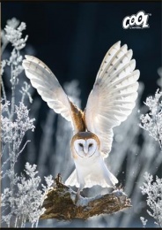 Füzet, tűzött, A4, sima, 80 lap, COOL BY VICTORIA "Wise Wings"